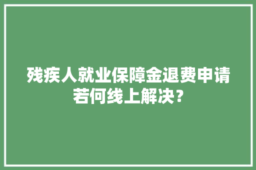 残疾人就业保障金退费申请若何线上解决？