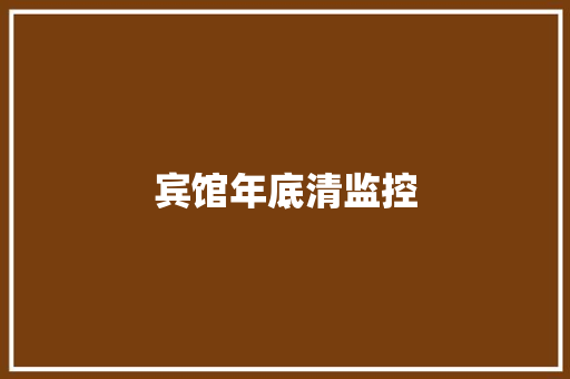 宾馆年底清监控