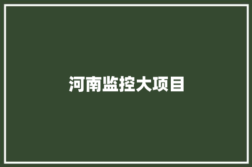 河南监控大项目