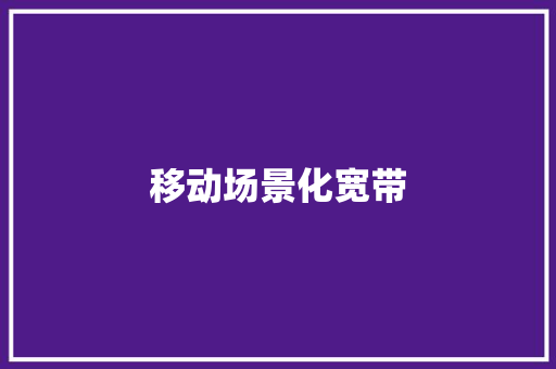 移动场景化宽带