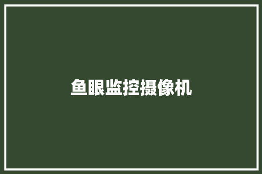 鱼眼监控摄像机