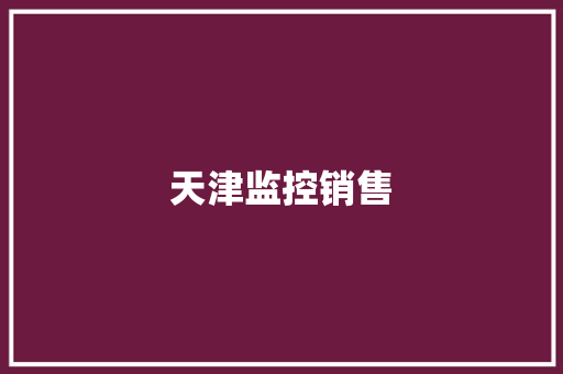 天津监控销售