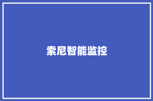 索尼智能监控