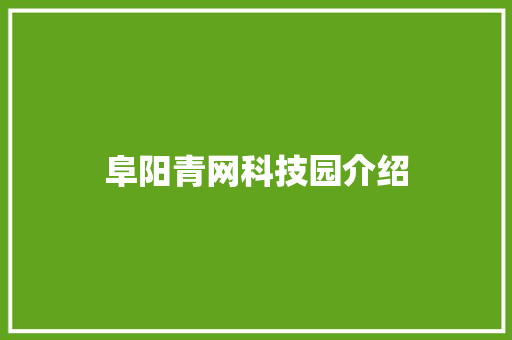阜阳青网科技园介绍