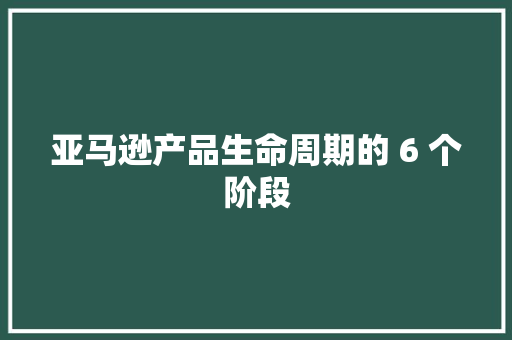 亚马逊产品生命周期的 6 个阶段