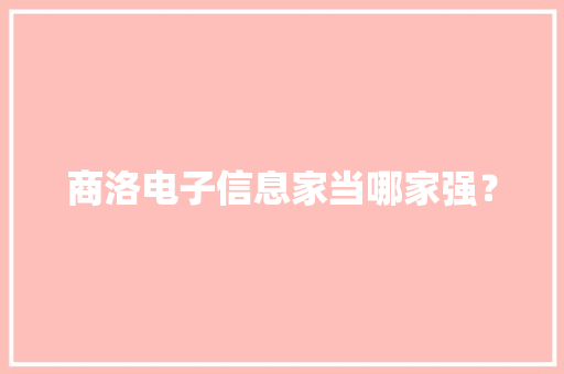 商洛电子信息家当哪家强？