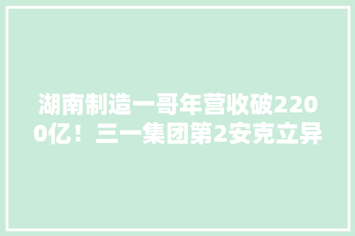 湖南制造一哥年营收破2200亿！三一集团第2安克立异排第19