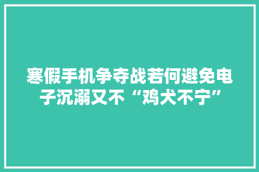 寒假手机争夺战若何避免电子沉溺又不“鸡犬不宁”