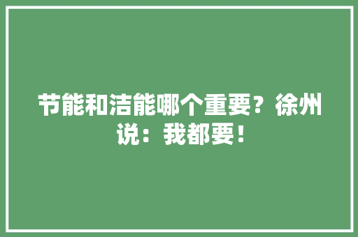 节能和洁能哪个重要？徐州说：我都要！