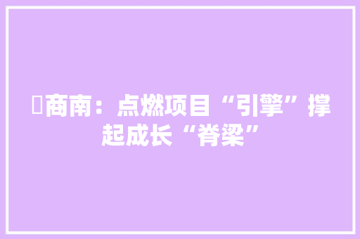 ​商南：点燃项目“引擎”撑起成长“脊梁”