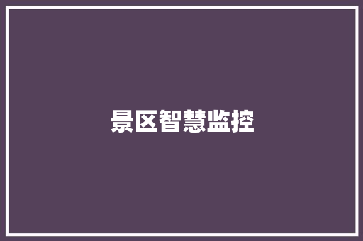 景区智慧监控