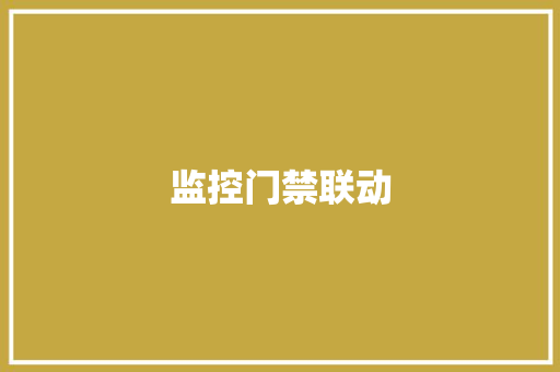 监控门禁联动
