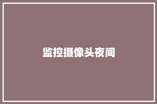 监控摄像头夜间,摄像机品牌前十名。