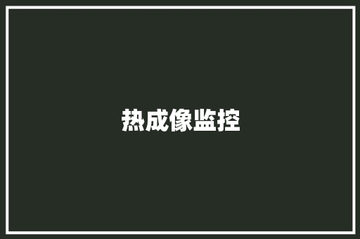 热成像监控