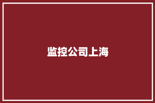 监控公司上海
