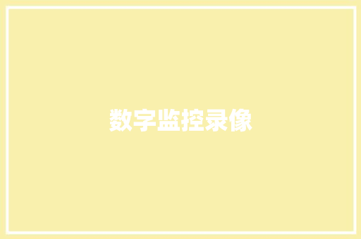 数字监控录像