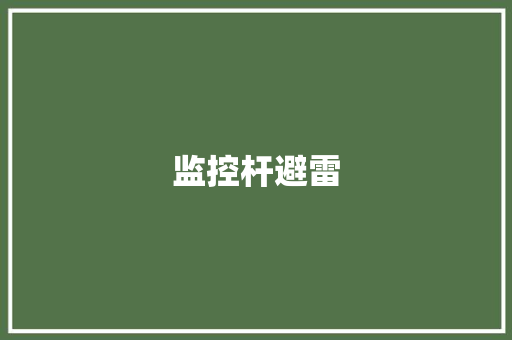 监控杆避雷,接地电阻测试仪。