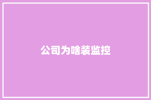 公司为啥装监控