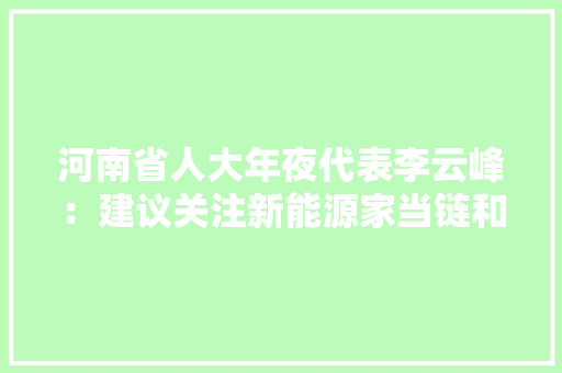 河南省人大年夜代表李云峰：建议关注新能源家当链和集成电路家当成长
