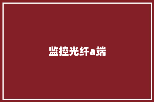 监控光纤a端,光纤收发器。
