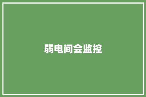 弱电间会监控