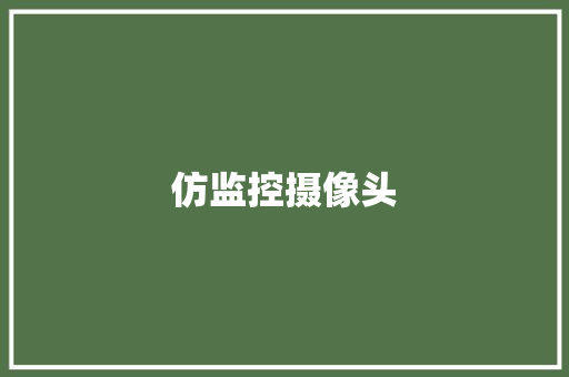 仿监控摄像头