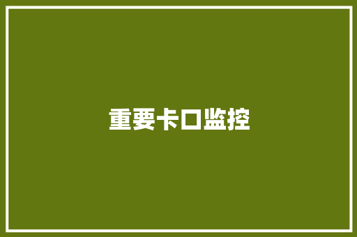 重要卡口监控