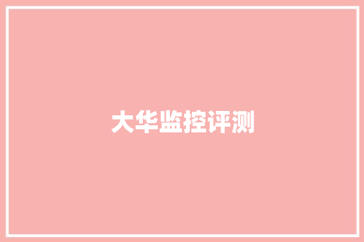 大华监控评测