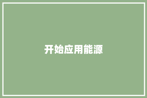 开始应用能源,选择英文。
