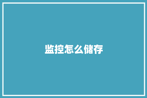 监控怎么储存