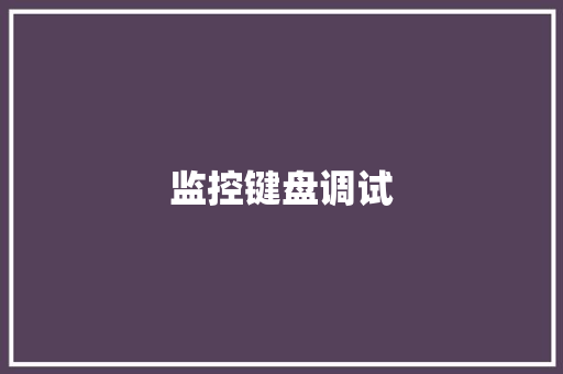 监控键盘调试