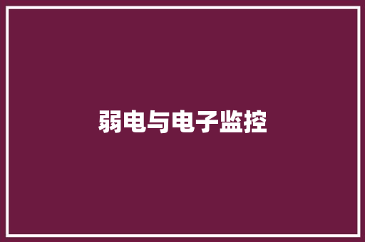 弱电与电子监控,安防展会。