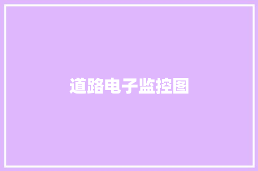 道路电子监控图,道路交通安全法。