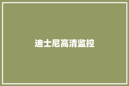 迪士尼高清监控