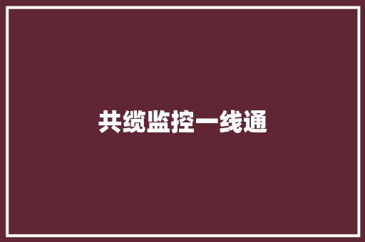 共缆监控一线通