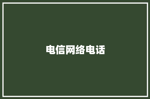 电信网络电话