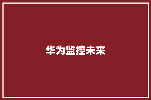 华为监控未来