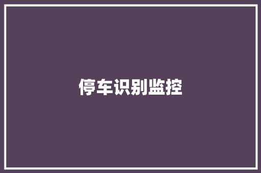 停车识别监控