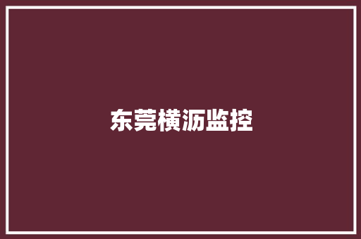 东莞横沥监控,批发市场哪里最便宜。