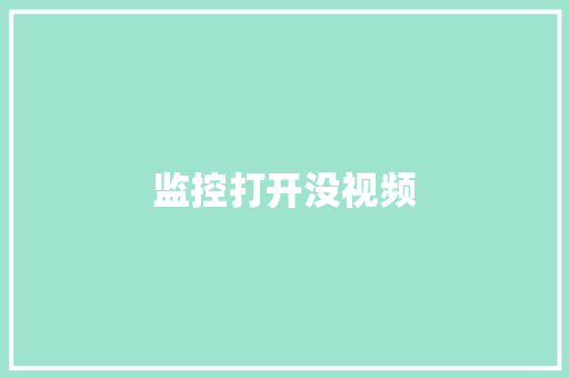 监控打开没视频
