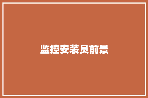 监控安装员前景