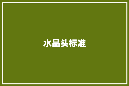 水晶头标准,网线水晶头排线图片。