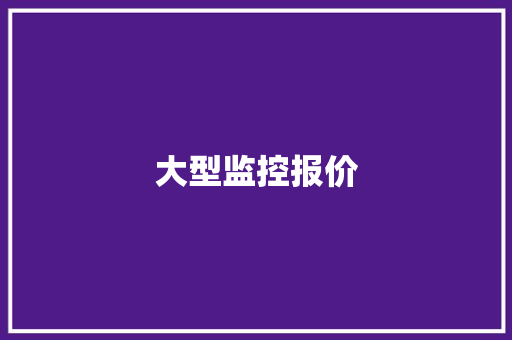 大型监控报价
