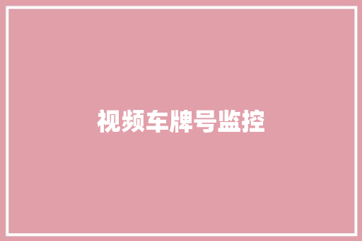 视频车牌号监控