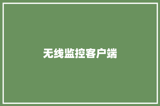 无线监控客户端