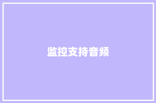 监控支持音频