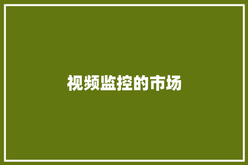 视频监控的市场