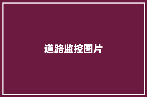 道路监控图片