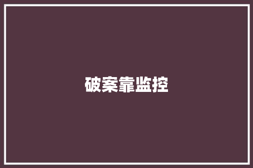 破案靠监控
