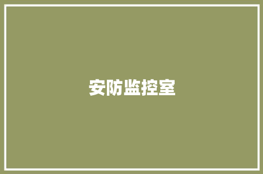 安防监控室
